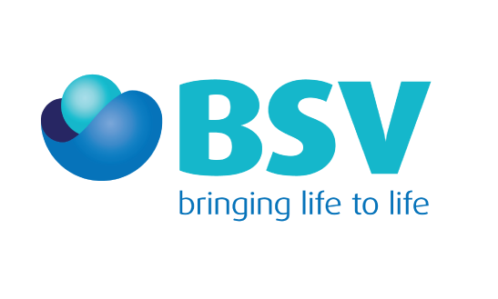 World Stroke Day BSV
